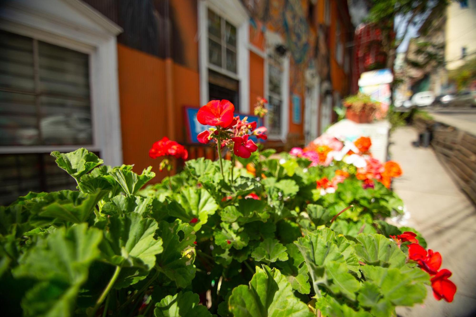 La Casa Del Puerto, Hostal Cultural, Cerro Alegre Valparaíso Exterior photo